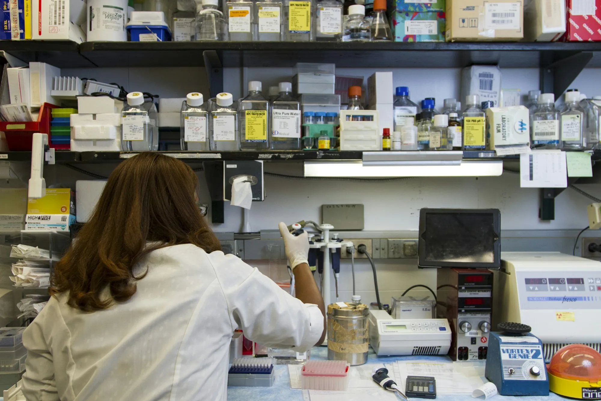 Analyst working at a crowded laboratory bench